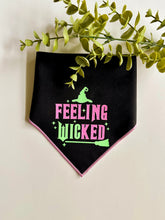 Load image into Gallery viewer, FEELING WICKED