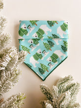 Load image into Gallery viewer, BEARY COLD