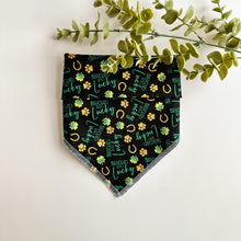 Load image into Gallery viewer, RESCUED & LUCKY