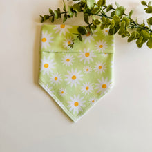 Load image into Gallery viewer, LIME DAISY