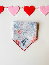 Load image into Gallery viewer, YOU GIVE ME ZOOMIES