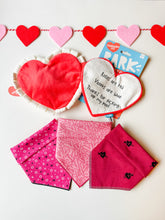Load image into Gallery viewer, BARK Valentine's Be Mine Dog Toy (M/L)