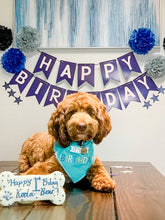 Load image into Gallery viewer, BLUE BIRTHDAY