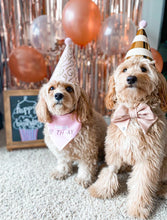 Load image into Gallery viewer, BARKDAY BUNDLE
