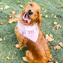 Load image into Gallery viewer, PINK BIRTHDAY