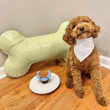 Load image into Gallery viewer, CELEBRATE