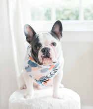 Load image into Gallery viewer, RAIN