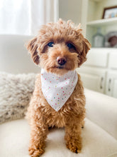 Load image into Gallery viewer, CELEBRATE