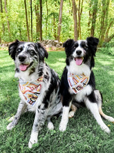 Load image into Gallery viewer, ARCHES