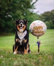 Load image into Gallery viewer, BARKDAY
