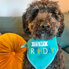 Load image into Gallery viewer, BLUE BIRTHDAY