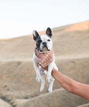 Load image into Gallery viewer, BURNT BOHO