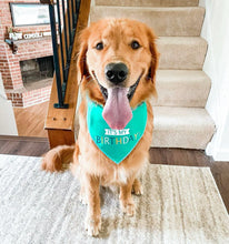 Load image into Gallery viewer, BLUE BIRTHDAY