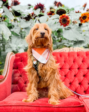 Load image into Gallery viewer, AUTUMN