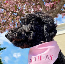 Load image into Gallery viewer, PINK BIRTHDAY