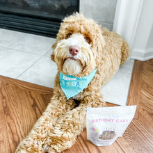 Load image into Gallery viewer, BLUE BIRTHDAY