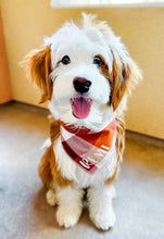 Load image into Gallery viewer, AUTUMN