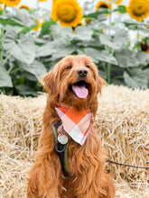 Load image into Gallery viewer, AUTUMN