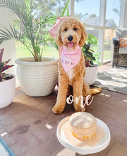 Load image into Gallery viewer, PINK BIRTHDAY