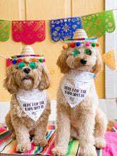 Load image into Gallery viewer, BARKARITAS