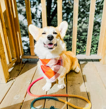 Load image into Gallery viewer, AUTUMN