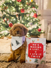 Load image into Gallery viewer, PUPscription