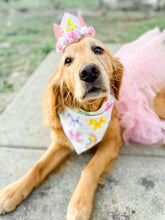 Load image into Gallery viewer, BALLOON ANIMALS