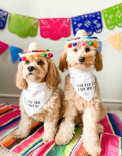 Load image into Gallery viewer, BARKARITAS