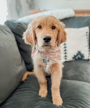 Load image into Gallery viewer, BURNT BOHO