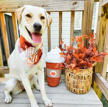 Load image into Gallery viewer, AUTUMN