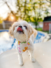 Load image into Gallery viewer, BALLOON ANIMALS