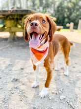 Load image into Gallery viewer, AUTUMN