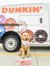 Load image into Gallery viewer, CELEBRATE