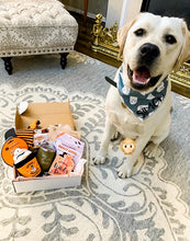 Load image into Gallery viewer, PUPscription