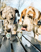 Load image into Gallery viewer, PUP CUP