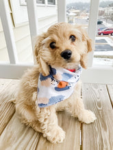 Load image into Gallery viewer, RAIN