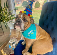 Load image into Gallery viewer, BLUE BIRTHDAY