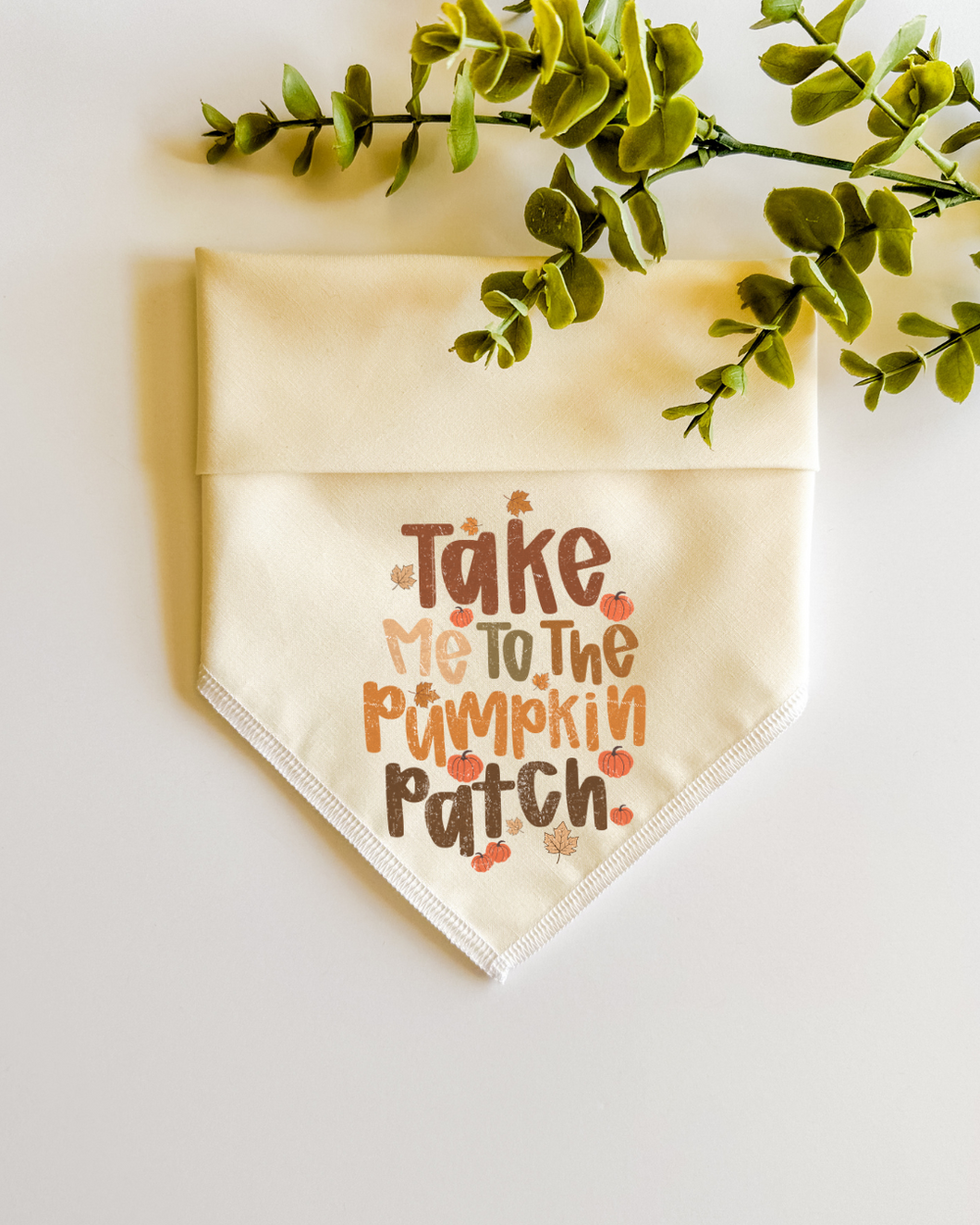 TAKE ME TO THE PUMPKIN PATCH