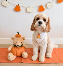 Load image into Gallery viewer, PUMPKIN BEAR
