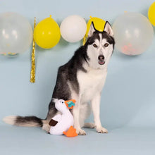 Load image into Gallery viewer, Seagull Dog Toy
