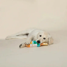 Load image into Gallery viewer, VACAY DOG TOY
