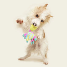 Load image into Gallery viewer, BARK Colorful Crab Dog Toy
