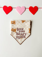 Load image into Gallery viewer, TEDDY BEARS
