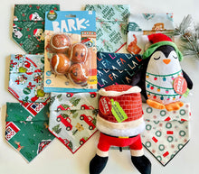 Load image into Gallery viewer, Slippin&#39; Santa Dog Toy
