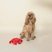 Load image into Gallery viewer, Crab Dog Toy
