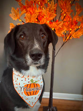 Load image into Gallery viewer, PERSONALIZED PUMPKIN
