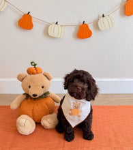 Load image into Gallery viewer, PUMPKIN BEAR

