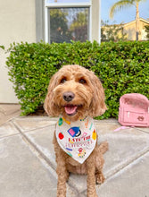 Load image into Gallery viewer, BARK TO SCHOOL
