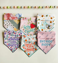 Load image into Gallery viewer, BIKE RIDE BUDDY
