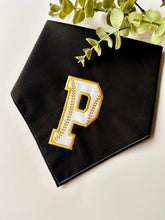 Load image into Gallery viewer, CUSTOM BASEBALL TEAM LETTER (EMBROIDERED)
